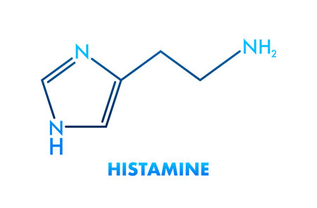 Rôle de l'histamine dans les inflammations chroniques